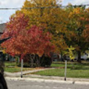 Meet your Posher, Sarath